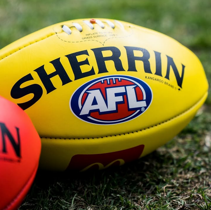  Sherrin Footballs USA 